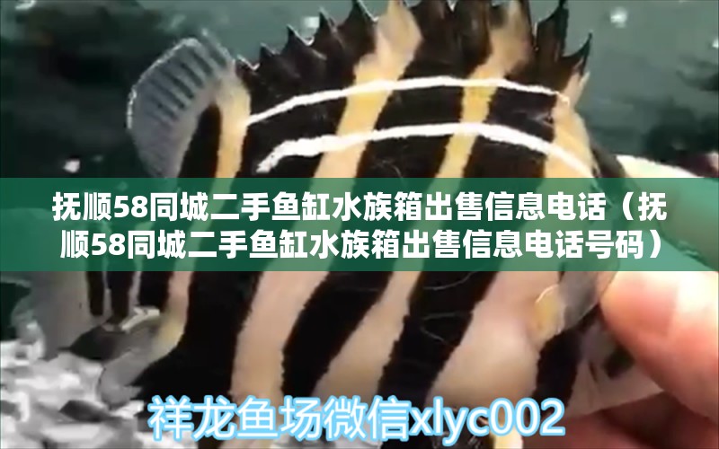 撫順58同城二手魚缸水族箱出售信息電話（撫順58同城二手魚缸水族箱出售信息電話號(hào)碼）