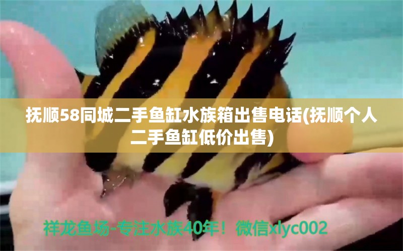 撫順58同城二手魚缸水族箱出售電話(撫順個人二手魚缸低價出售) 魚缸/水族箱