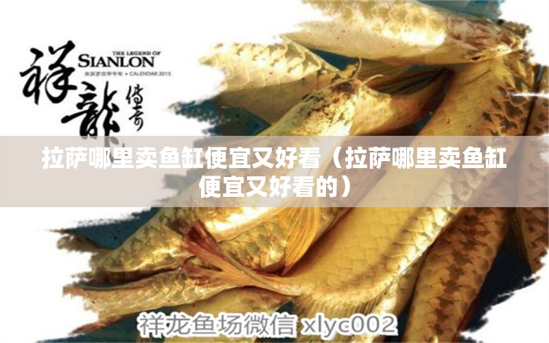 拉薩哪里賣魚缸便宜又好看（拉薩哪里賣魚缸便宜又好看的）