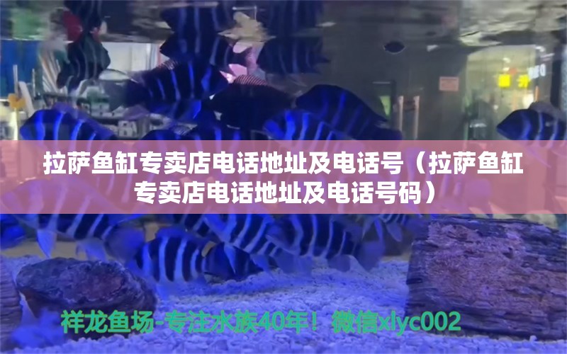 拉薩魚缸專賣店電話地址及電話號(hào)（拉薩魚缸專賣店電話地址及電話號(hào)碼） 祥龍水族醫(yī)院