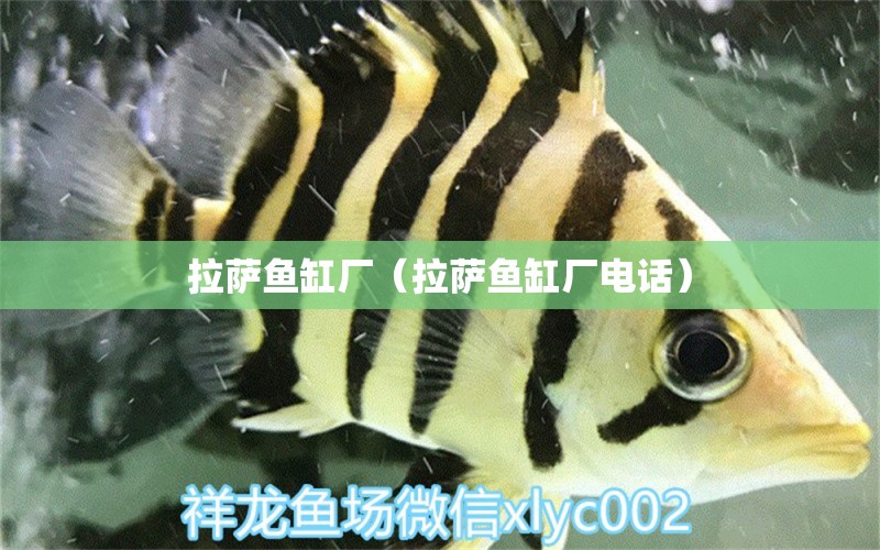 拉薩魚(yú)缸廠（拉薩魚(yú)缸廠電話） 其他品牌魚(yú)缸