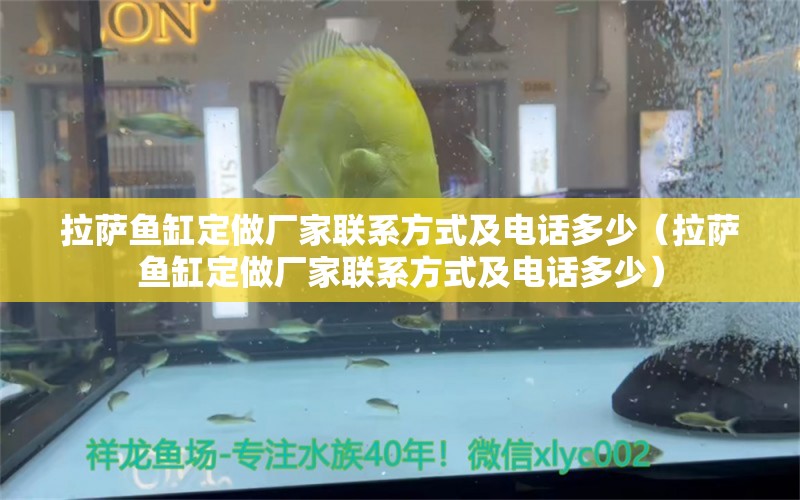 拉薩魚(yú)缸定做廠家聯(lián)系方式及電話多少（拉薩魚(yú)缸定做廠家聯(lián)系方式及電話多少）