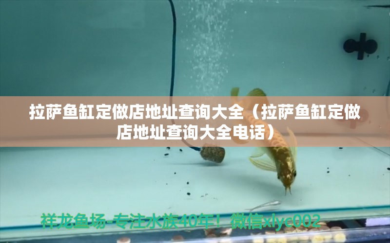 拉薩魚缸定做店地址查詢大全（拉薩魚缸定做店地址查詢大全電話） 祥龍水族醫(yī)院