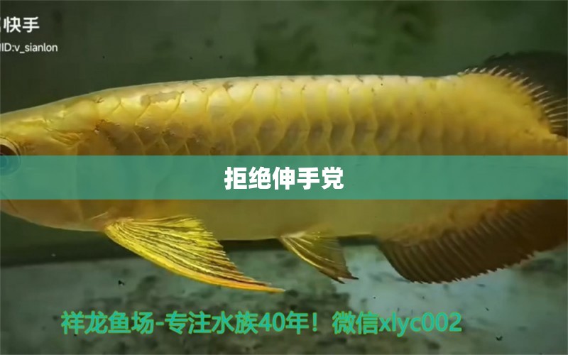 拒絕伸手黨 水族用品