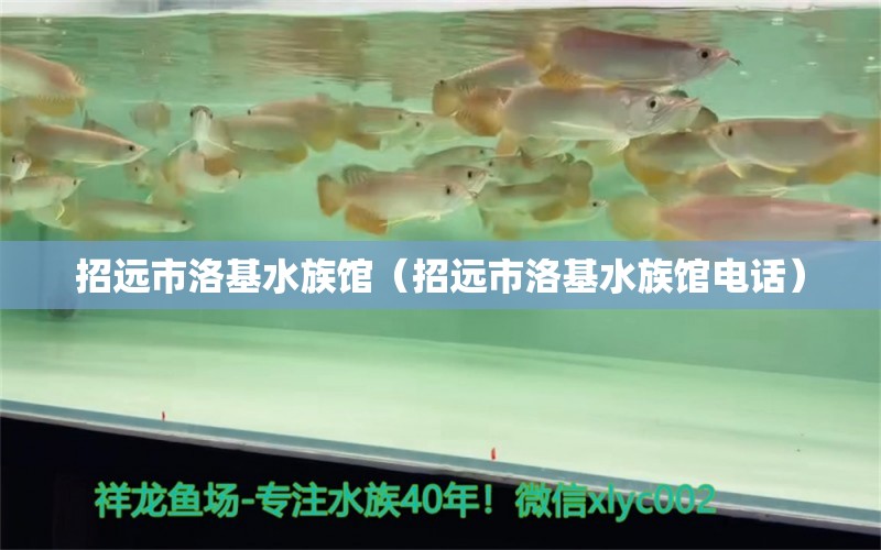 招遠市洛基水族館（招遠市洛基水族館電話）