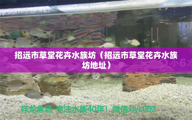 招遠(yuǎn)市草堂花卉水族坊（招遠(yuǎn)市草堂花卉水族坊地址） 全國(guó)水族館企業(yè)名錄