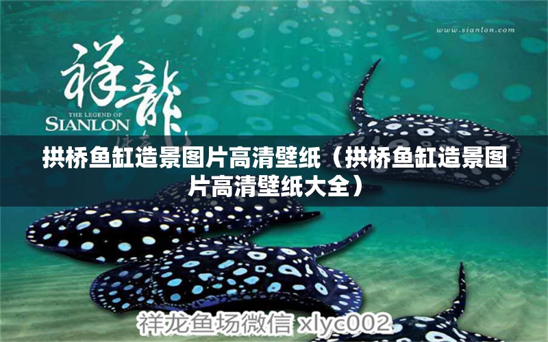 拱橋魚缸造景圖片高清壁紙（拱橋魚缸造景圖片高清壁紙大全）