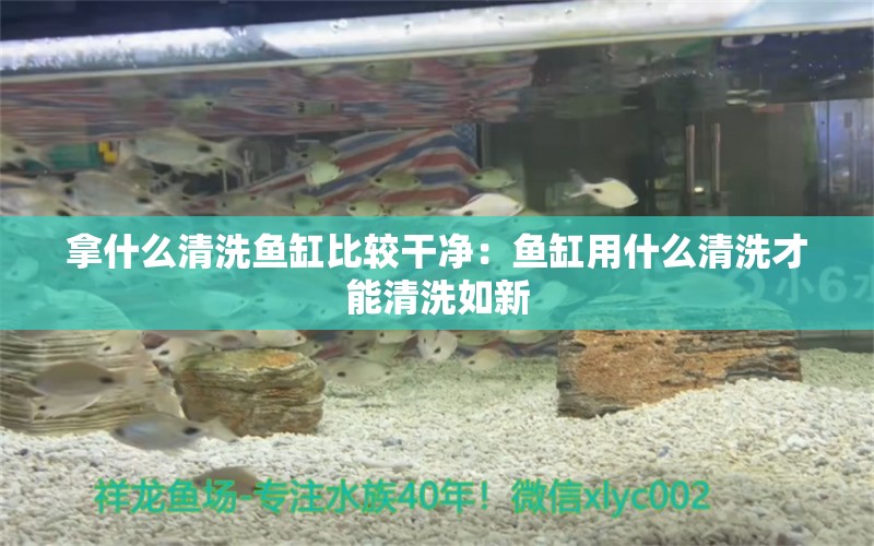 拿什么清洗魚缸比較干凈：魚缸用什么清洗才能清洗如新