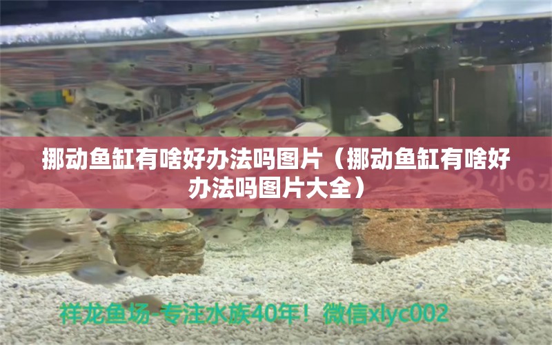 挪動(dòng)魚缸有啥好辦法嗎圖片（挪動(dòng)魚缸有啥好辦法嗎圖片大全）