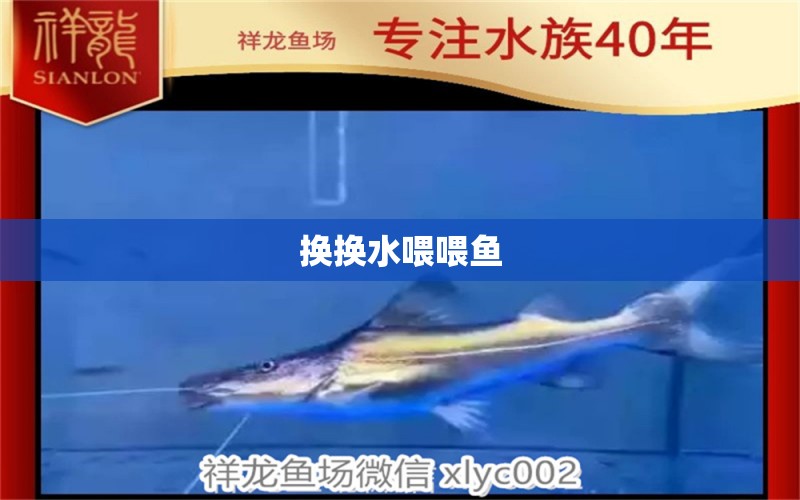 換換水喂喂魚(yú) 觀(guān)賞魚(yú)論壇 第2張