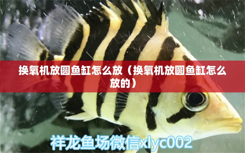 換氧機(jī)放圓魚缸怎么放（換氧機(jī)放圓魚缸怎么放的）