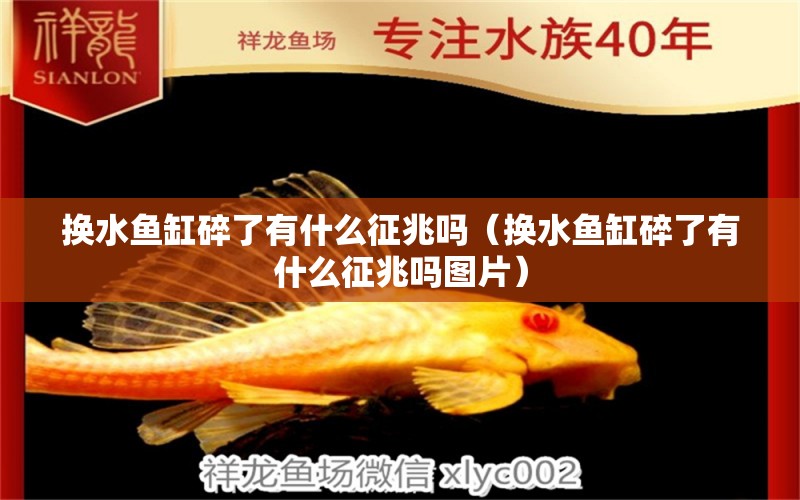 換水魚缸碎了有什么征兆嗎（換水魚缸碎了有什么征兆嗎圖片）