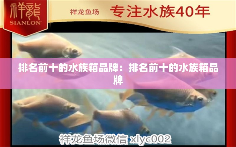 排名前十的水族箱品牌：排名前十的水族箱品牌