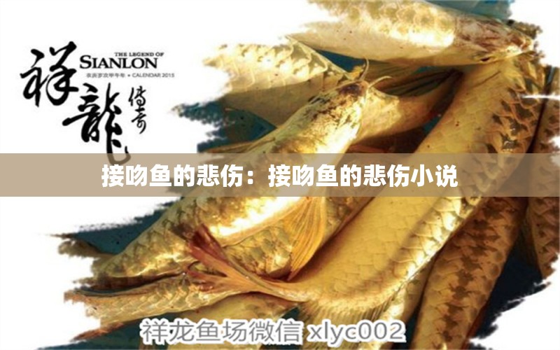 接吻魚(yú)的悲傷：接吻魚(yú)的悲傷小說(shuō) 觀賞魚(yú)