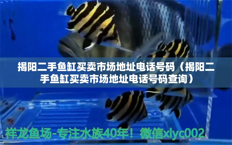 揭陽(yáng)二手魚(yú)缸買賣市場(chǎng)地址電話號(hào)碼（揭陽(yáng)二手魚(yú)缸買賣市場(chǎng)地址電話號(hào)碼查詢）