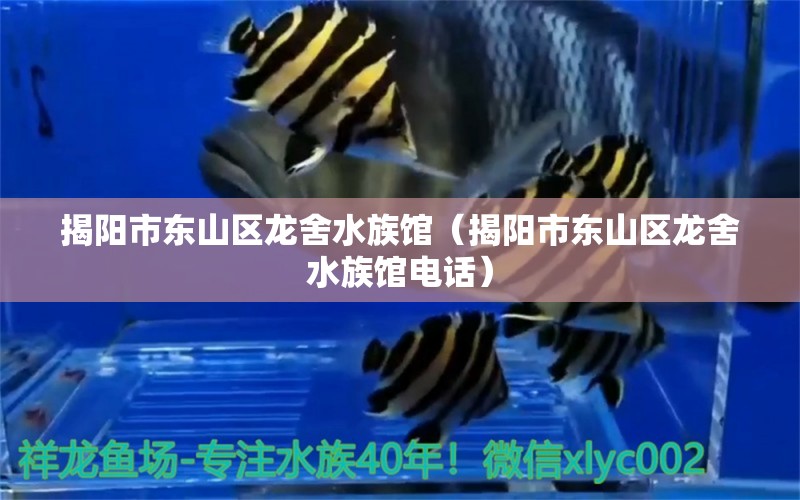 揭陽市東山區(qū)龍舍水族館（揭陽市東山區(qū)龍舍水族館電話） 全國水族館企業(yè)名錄