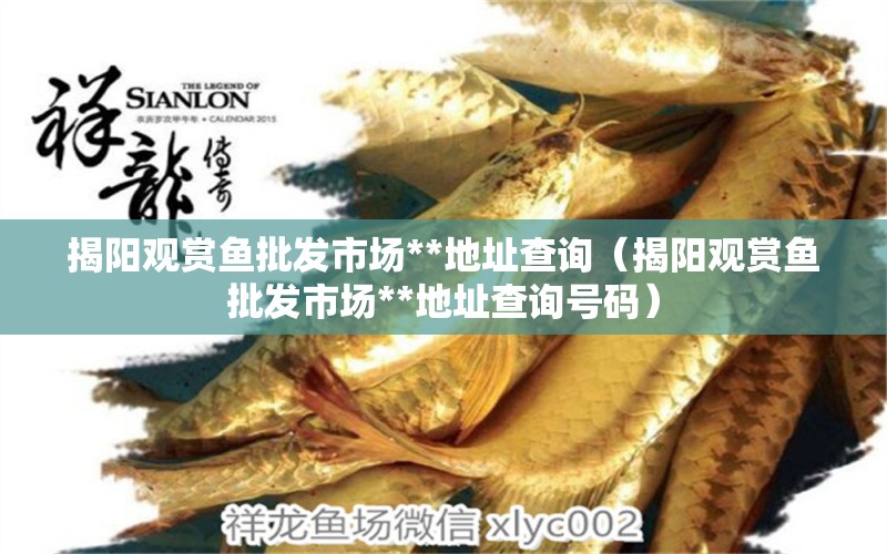 揭陽觀賞魚批發(fā)市場**地址查詢（揭陽觀賞魚批發(fā)市場**地址查詢號(hào)碼）