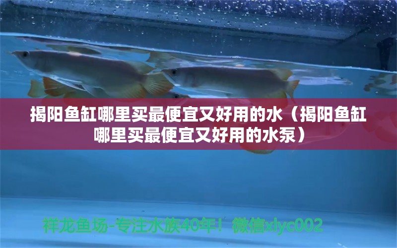 揭陽魚缸哪里買最便宜又好用的水（揭陽魚缸哪里買最便宜又好用的水泵）