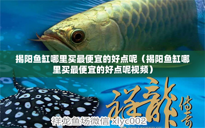 揭陽魚缸哪里買最便宜的好點呢（揭陽魚缸哪里買最便宜的好點呢視頻）