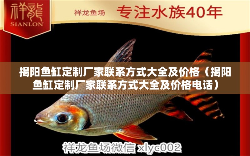 揭陽(yáng)魚缸定制廠家聯(lián)系方式大全及價(jià)格（揭陽(yáng)魚缸定制廠家聯(lián)系方式大全及價(jià)格電話） 銀龍魚