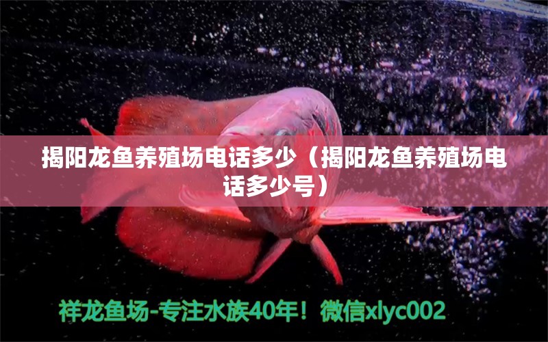 揭陽龍魚養(yǎng)殖場電話多少（揭陽龍魚養(yǎng)殖場電話多少號）