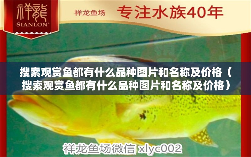 搜索觀賞魚都有什么品種圖片和名稱及價格（搜索觀賞魚都有什么品種圖片和名稱及價格）