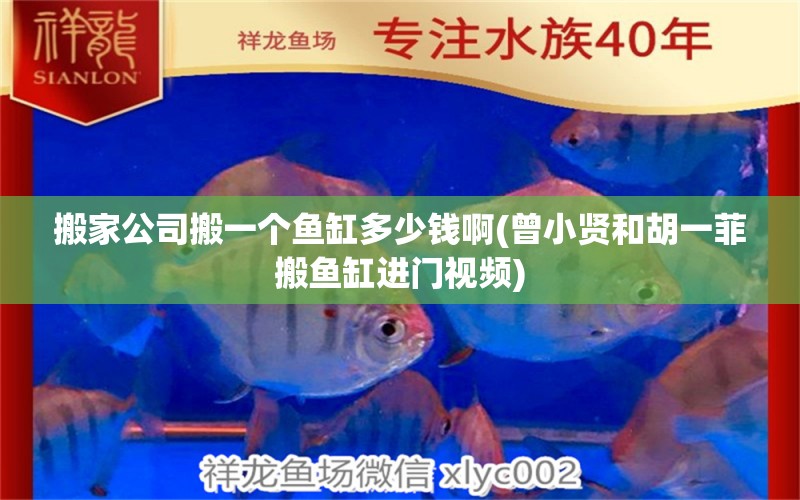 搬家公司搬一個魚缸多少錢啊(曾小賢和胡一菲搬魚缸進門視頻)