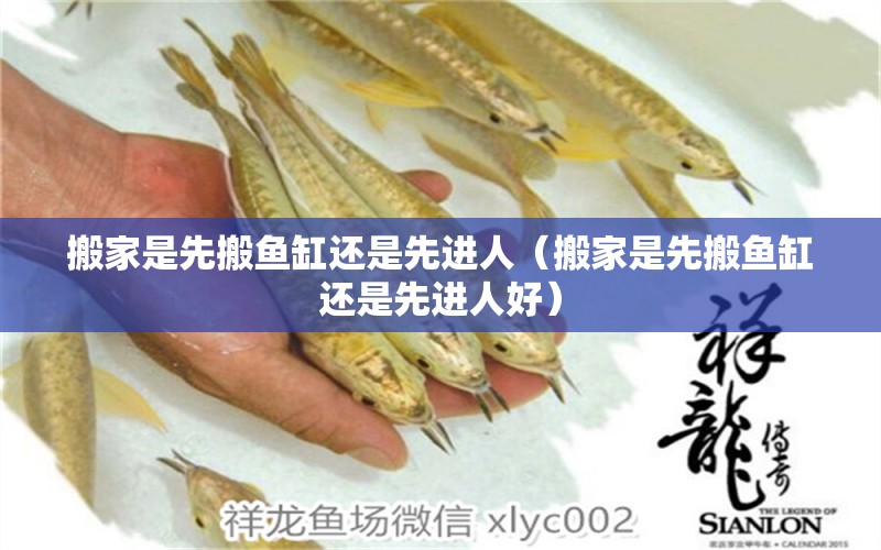 搬家是先搬魚缸還是先進人（搬家是先搬魚缸還是先進人好） 祥龍水族醫(yī)院 第1張