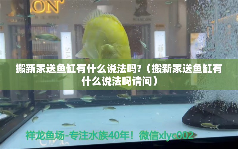 搬新家送魚缸有什么說法嗎?（搬新家送魚缸有什么說法嗎請問） 祥龍水族醫(yī)院