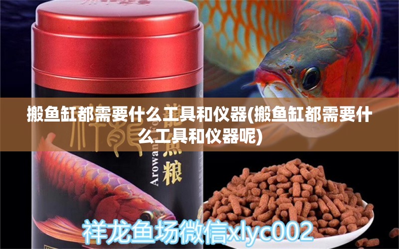 搬魚缸都需要什么工具和儀器(搬魚缸都需要什么工具和儀器呢) 細(xì)線銀版魚