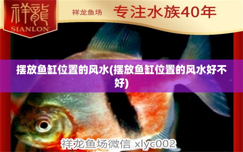 擺放魚(yú)缸位置的風(fēng)水(擺放魚(yú)缸位置的風(fēng)水好不好) 魚(yú)缸風(fēng)水