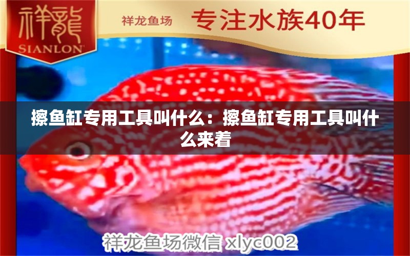 擦魚缸專用工具叫什么：擦魚缸專用工具叫什么來著