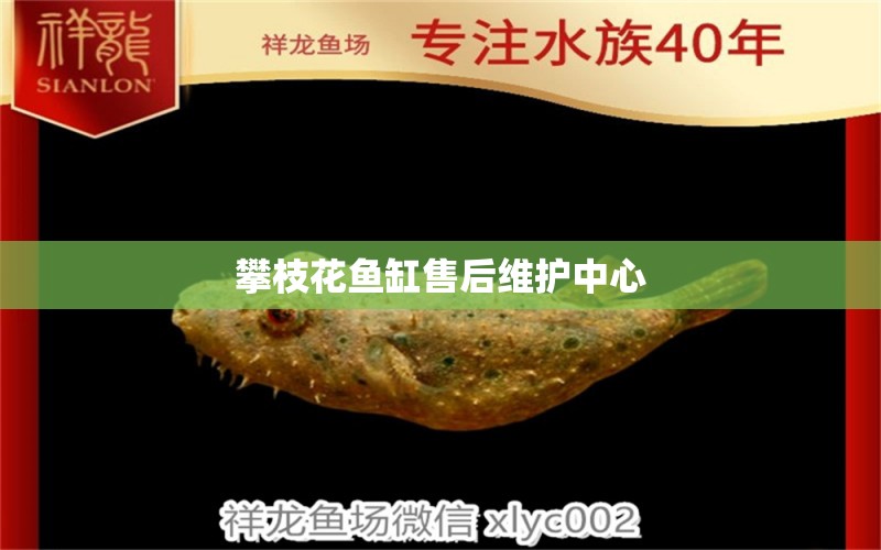 攀枝花魚缸售后維護中心 其他品牌魚缸