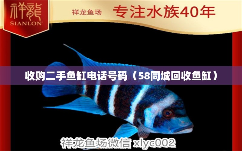 收購(gòu)二手魚(yú)缸電話號(hào)碼（58同城回收魚(yú)缸）