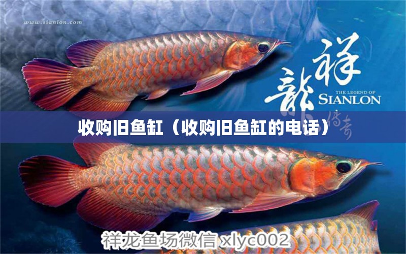 收購舊魚缸（收購舊魚缸的電話）