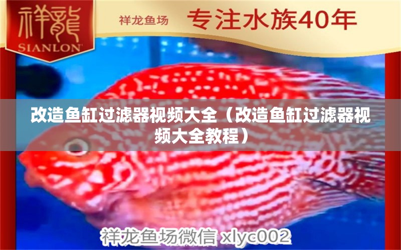 改造魚缸過濾器視頻大全（改造魚缸過濾器視頻大全教程）