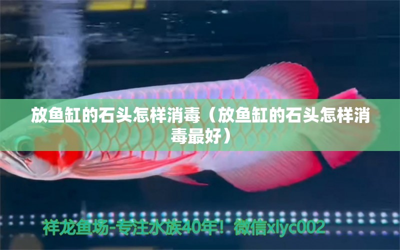 放魚缸的石頭怎樣消毒（放魚缸的石頭怎樣消毒最好） 其他品牌魚缸