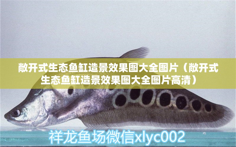 敞開式生態(tài)魚缸造景效果圖大全圖片（敞開式生態(tài)魚缸造景效果圖大全圖片高清）