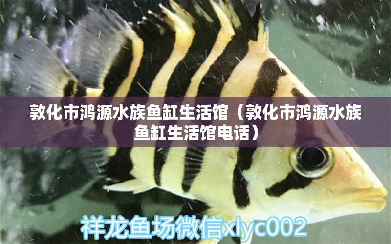 敦化市鴻源水族魚缸生活館（敦化市鴻源水族魚缸生活館電話）