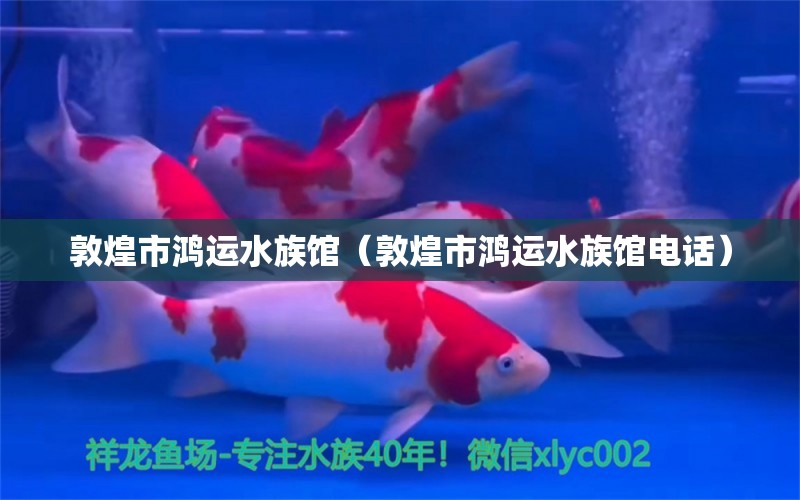 敦煌市鴻運(yùn)水族館（敦煌市鴻運(yùn)水族館電話）