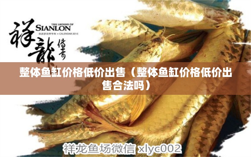 整體魚缸價格低價出售（整體魚缸價格低價出售合法嗎）