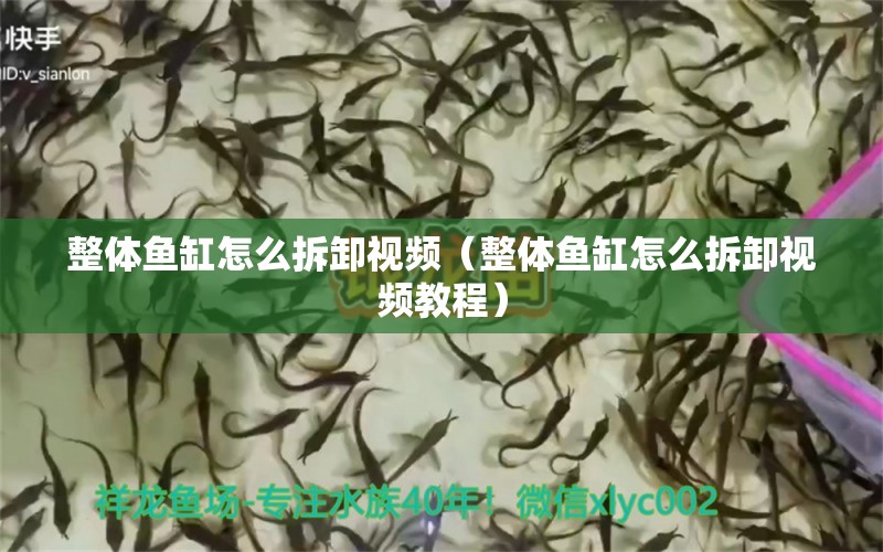 整體魚缸怎么拆卸視頻（整體魚缸怎么拆卸視頻教程）