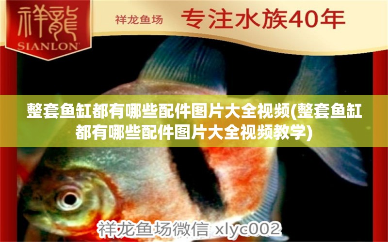 整套魚缸都有哪些配件圖片大全視頻(整套魚缸都有哪些配件圖片大全視頻教學(xué)) 帝王迷宮魚