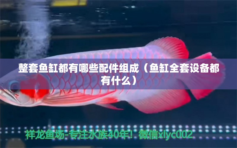 整套魚(yú)缸都有哪些配件組成（魚(yú)缸全套設(shè)備都有什么） 觀賞魚(yú)市場(chǎng)