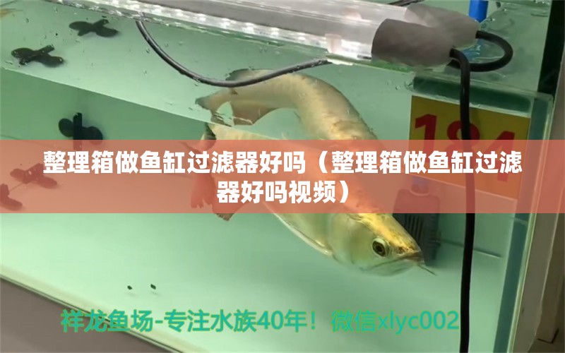 整理箱做魚缸過濾器好嗎（整理箱做魚缸過濾器好嗎視頻）