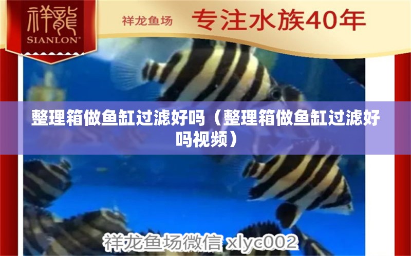 整理箱做魚缸過濾好嗎（整理箱做魚缸過濾好嗎視頻）