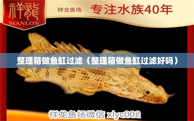 整理箱做魚缸過濾（整理箱做魚缸過濾好嗎） 祥龍魚場