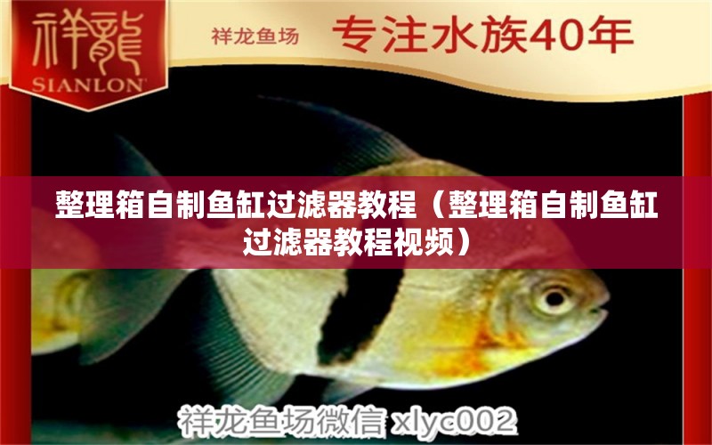 整理箱自制魚缸過濾器教程（整理箱自制魚缸過濾器教程視頻）