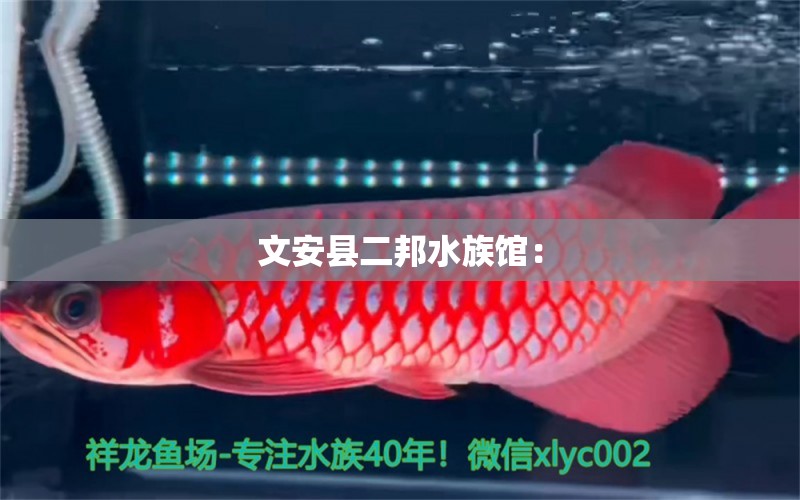 文安縣二邦水族館：