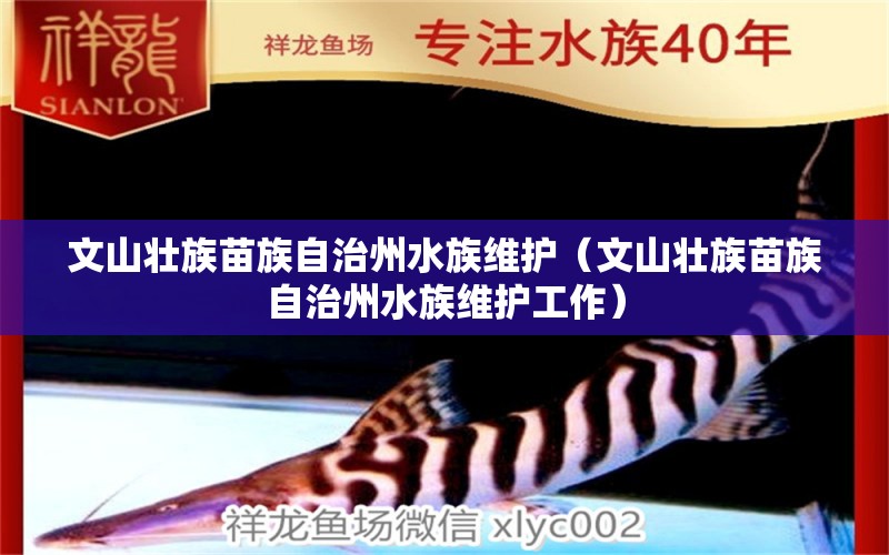 文山壯族苗族自治州水族維護（文山壯族苗族自治州水族維護工作）